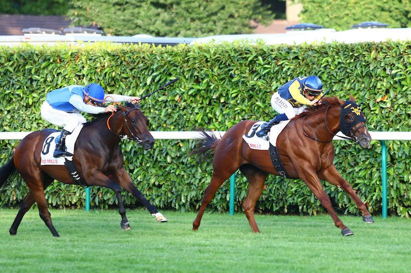 Connolly’s RedMills Prix du Bois : Maven contrôle