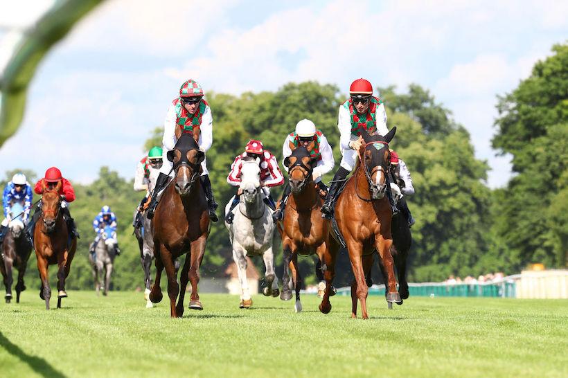 Triplé de l’écurie Yas Horse Racing Management