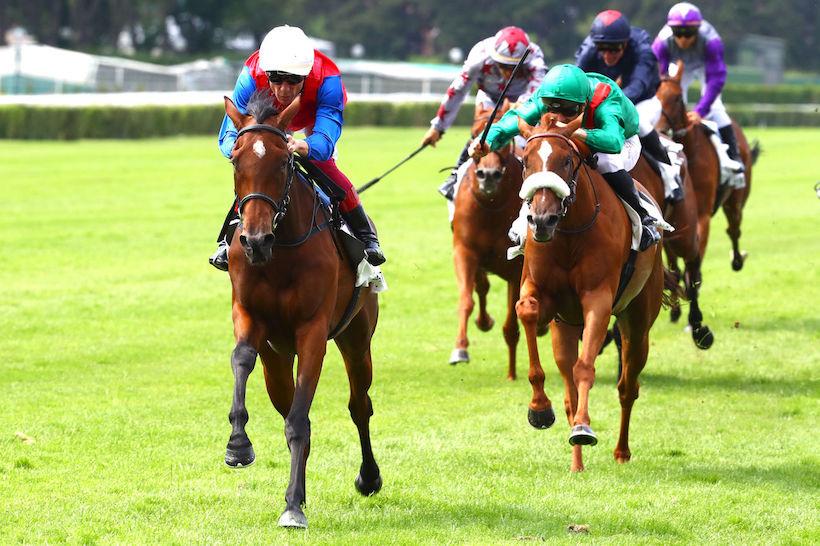 Malleret : Mehdaayih écrase la course