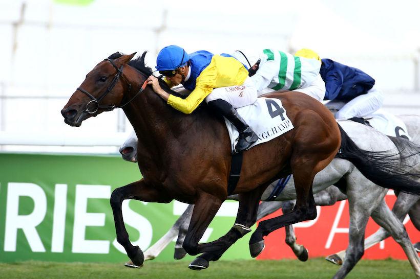 Prix Maurice de Nieuil : Du nouveau pour Marmelo