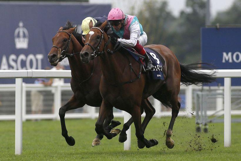 #ArcRoad : Enable impressionne à Ascot