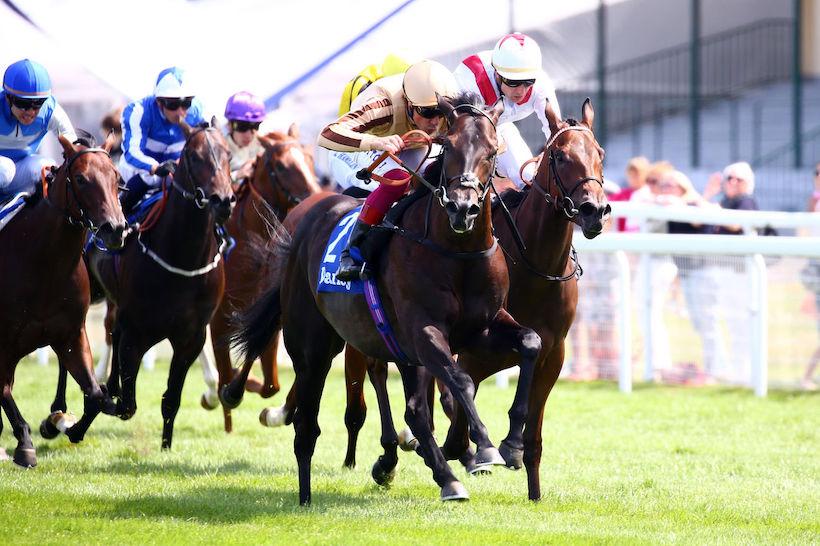 Darley Papin : A'Ali well on the Morny road