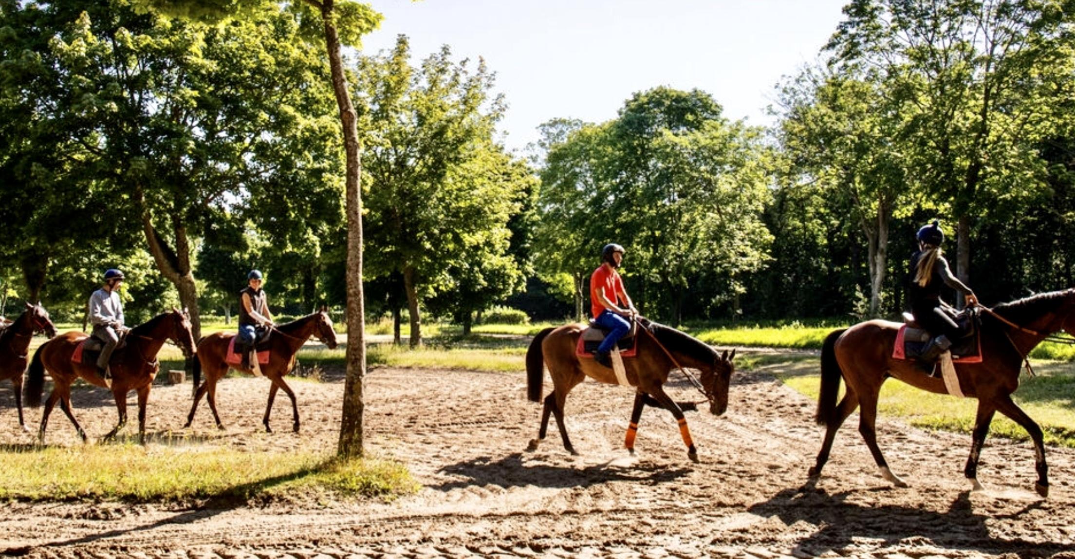 Plan de redynamisation du centre d’entraînement de Maisons-Laffitte