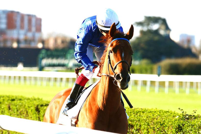 Quincey Barrière : Milers on their way back Quincey Barrière : Milers on their way back