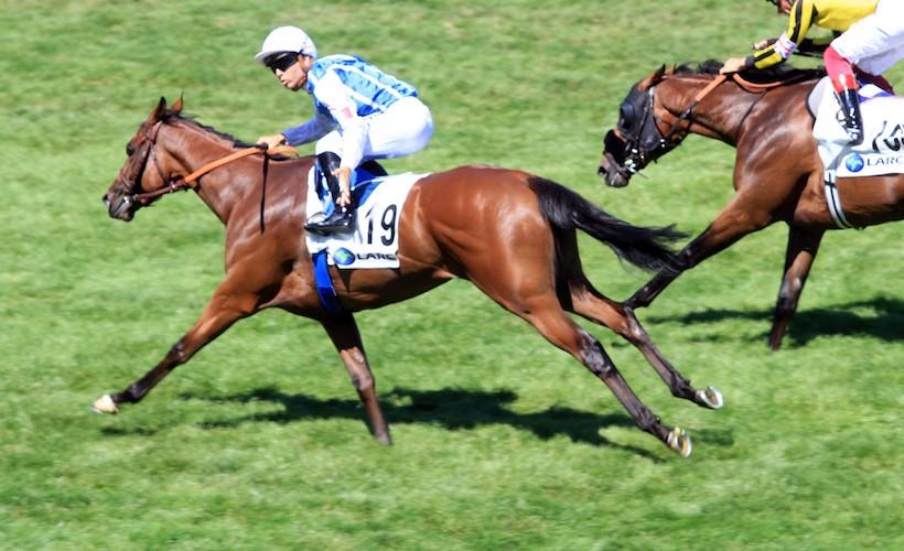 LARC Maurice de Gheest : French captain Polydream leads home defence