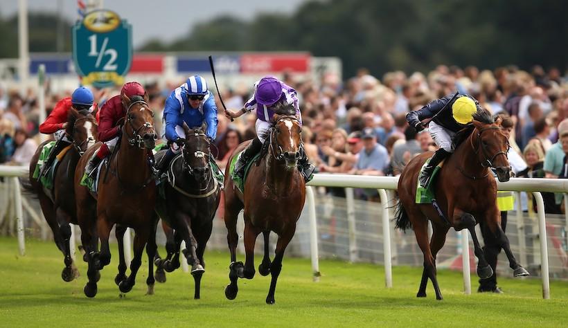 #ArcRoad : Qatar Prix de l’Arc de Triomphe in play at York