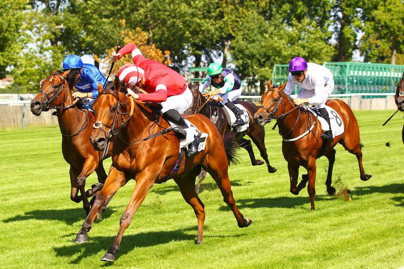 Arenberg : Al Raya's experience pays off