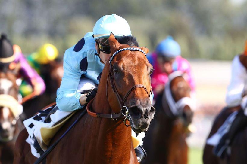 Gontaut-Biron : The further the better for Olmedo!