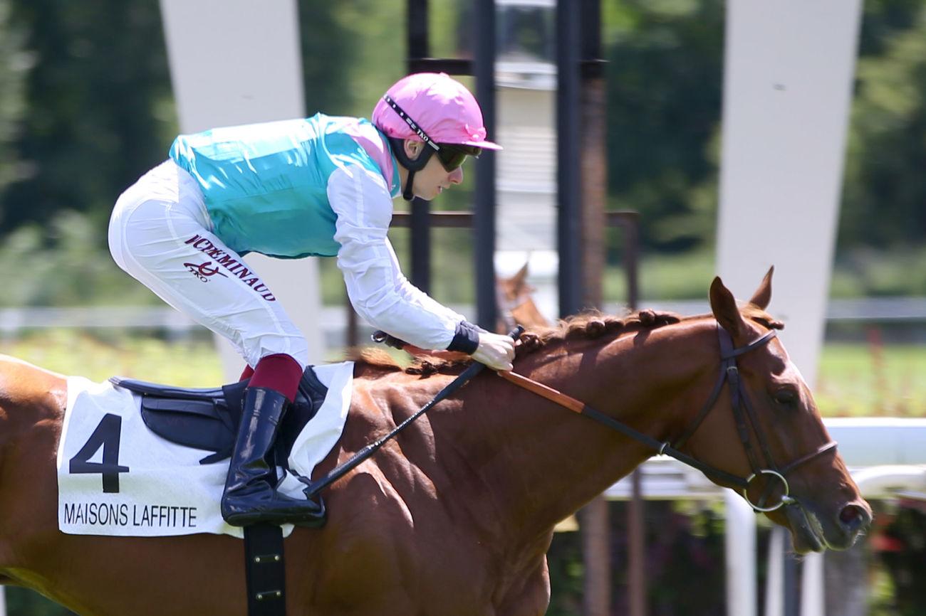 Lutèce: A good timing for In Favour