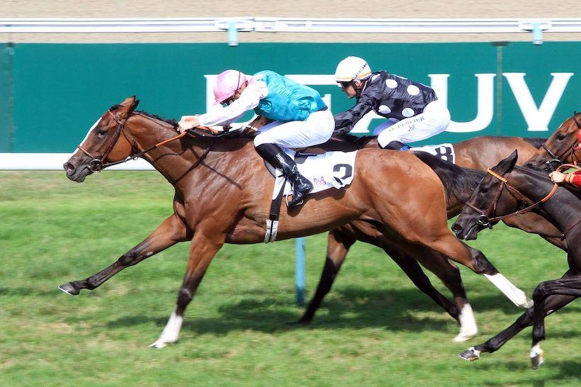 Lieurey Arqana : Fount finds her revenge Lieurey Arqana : Fount finds her revenge