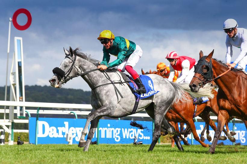 Darley Romanet : Coronet à nouveau couronnée