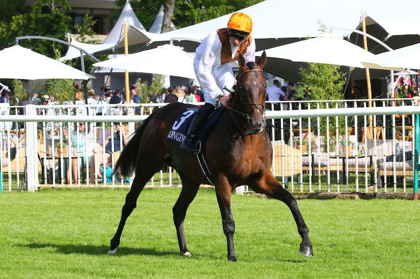 Gontaut-Biron Hong Kong Jockey Club : La rose des vans