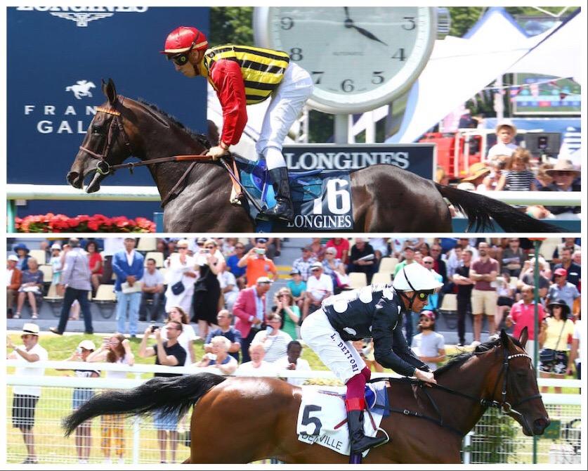 Arqana Lieurey : Duel attendu entre Commes et Twist 'N' Shake