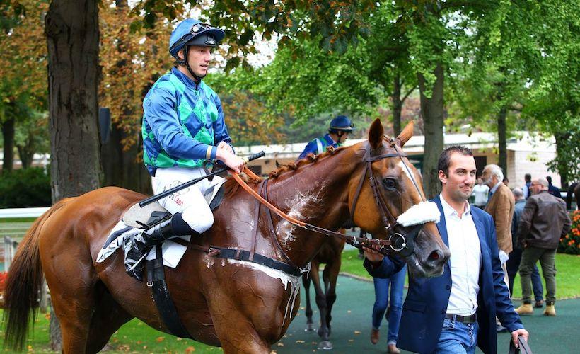 Monday at Auteuil: Timely returns Monday at Auteuil: Timely returns