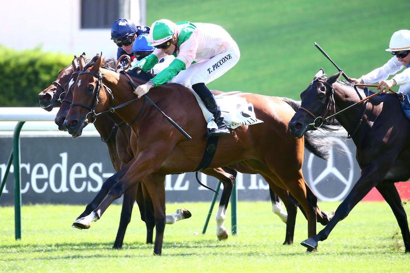 2019 September Maiden Winners 2019 September Maiden Winners