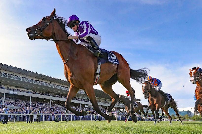 Magical montre ses muscles à domicile Magical montre ses muscles à domicile