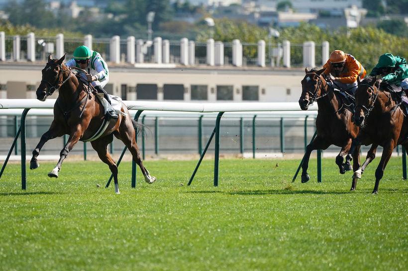 Tarragon : On a retrouvé Silva