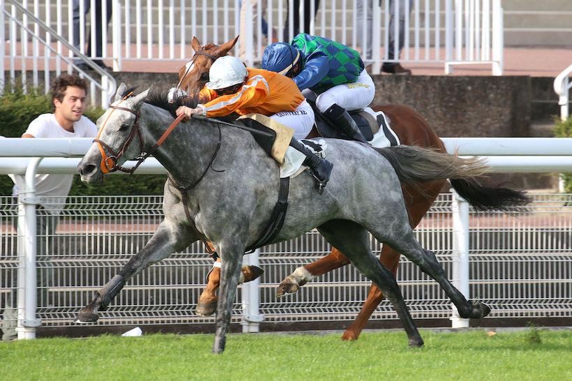 Carmarthen : C'est le tour de Paul's Saga Carmarthen : C'est le tour de Paul's Saga