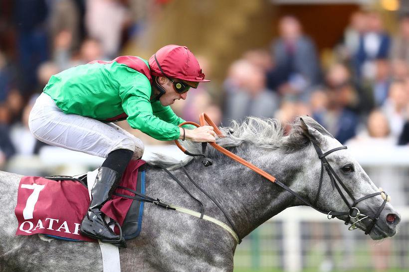 Qatar Prix Chaudenay : Technician loves the ground