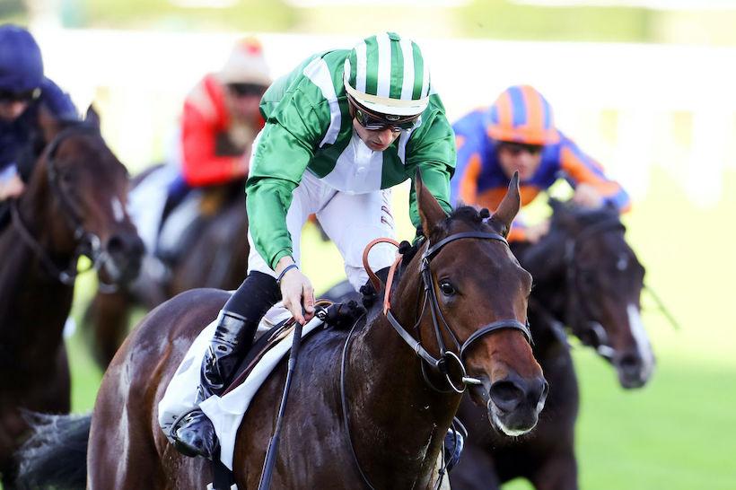 Critérium de Saint-Cloud : MkFancy, the best stayer