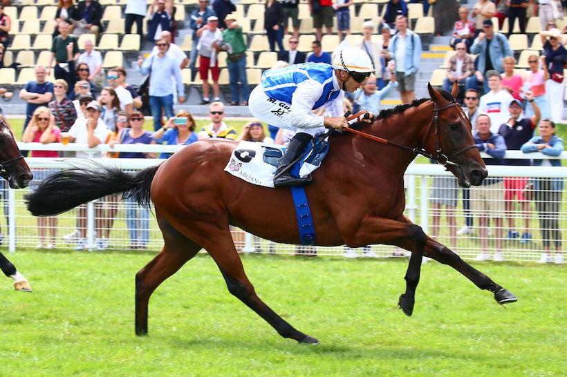 Critérium de Maisons-Laffitte : Devil vise à nouveau les sommets Critérium de Maisons-Laffitte : Devil vise à nouveau les sommets