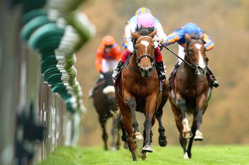 Qatar Arc de Triomphe : Eleven challengers face Enable