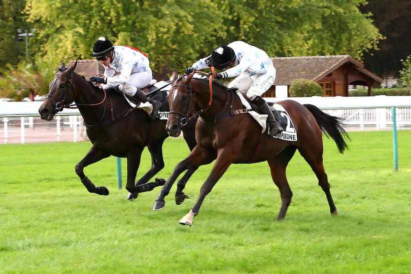 Grand Steeple de Compiègne : A double duet runs for a double