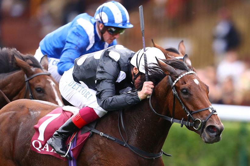 Qatar Prix de Royallieu : Anapurna gives Dettori magnificent 17 Qatar Prix de Royallieu : Anapurna gives Dettori magnificent 17