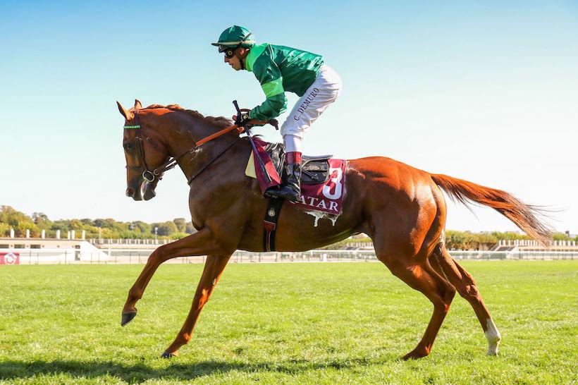 Sottsass, an unknown enemy for Enable Sottsass, an unknown enemy for Enable