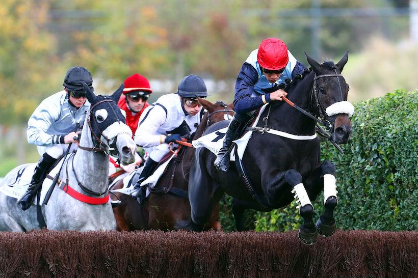 Haras d'Etreham - Bournosienne : Want of a Nail finally gets it