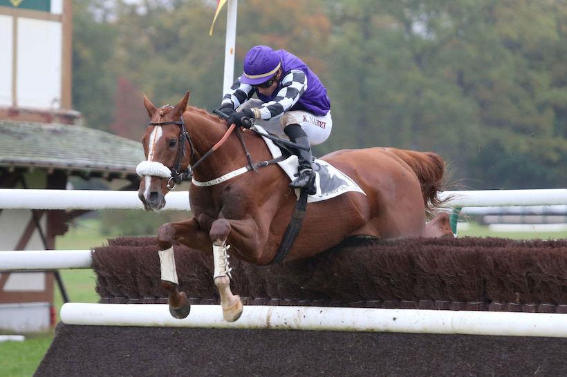 Grand Steeple de Compiègne : Le Costaud retrouve le chemin du succès