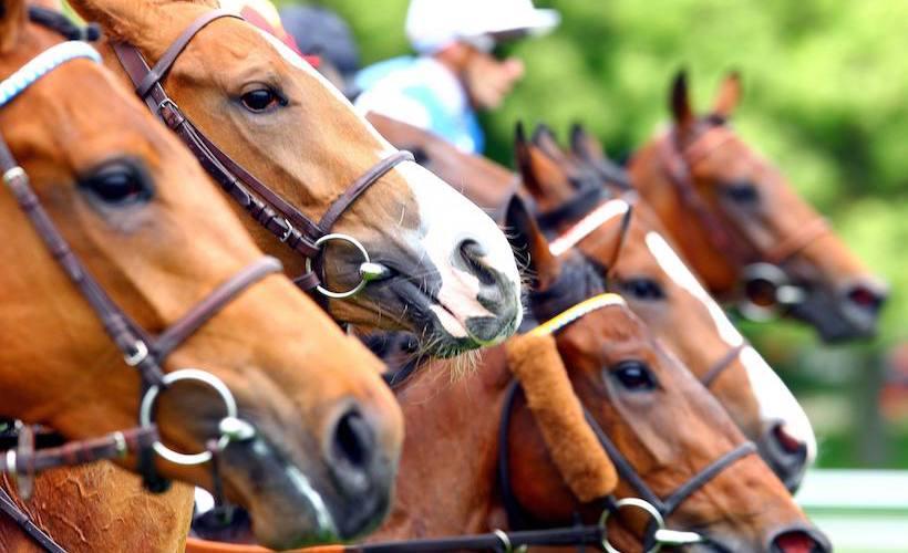 2019 October Maiden winners