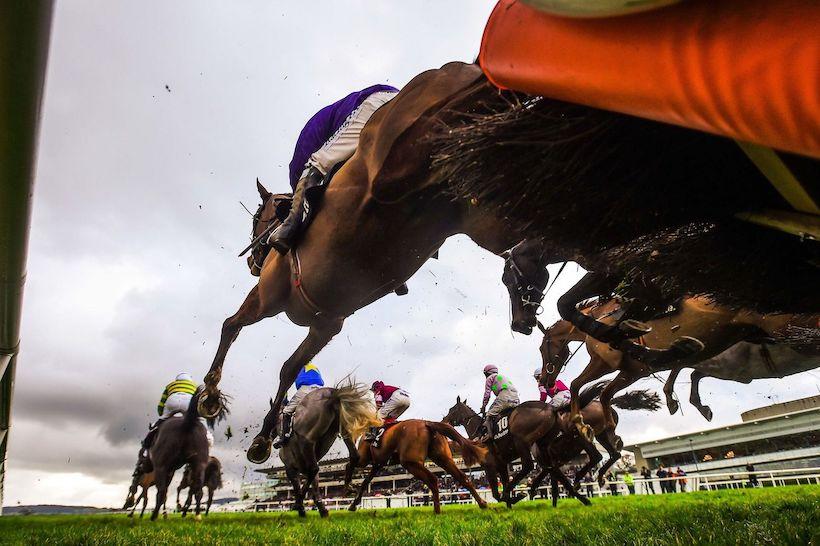 Frenchbred jumpers land Gr1 double at Leopardstown Frenchbred jumpers land Gr1 double at Leopardstown