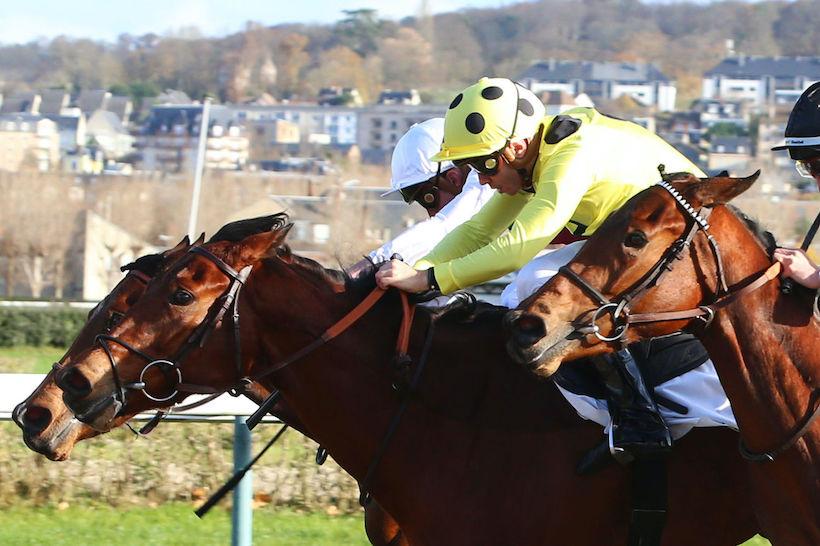 Résultat du vote électronique pour la prime à l’éleveur pour les chevaux d’âge