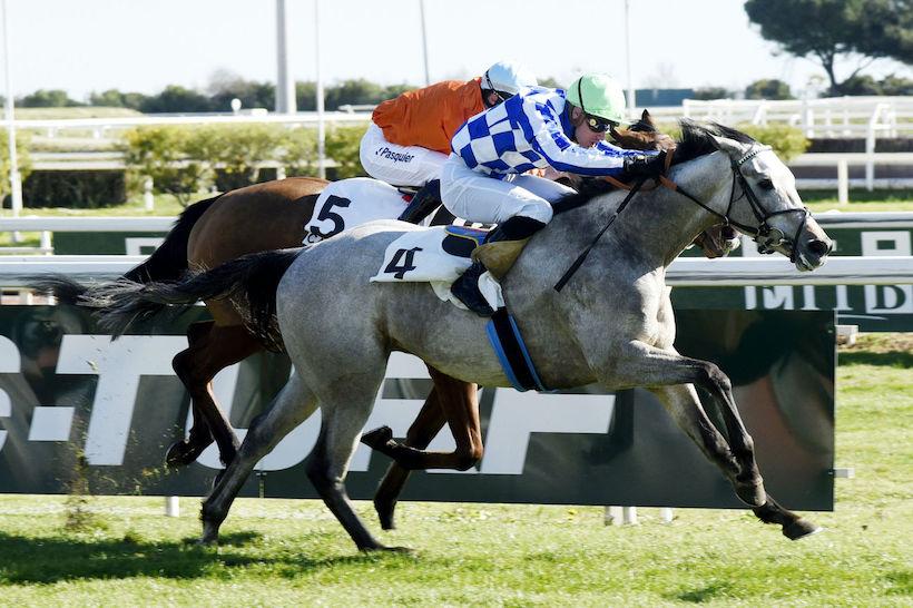 Un Grand Prix très international