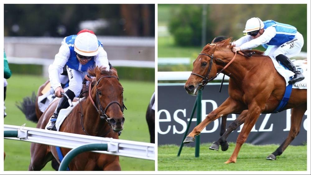 Un an déjà : la casaque Wertheimer ouvre le bal classique