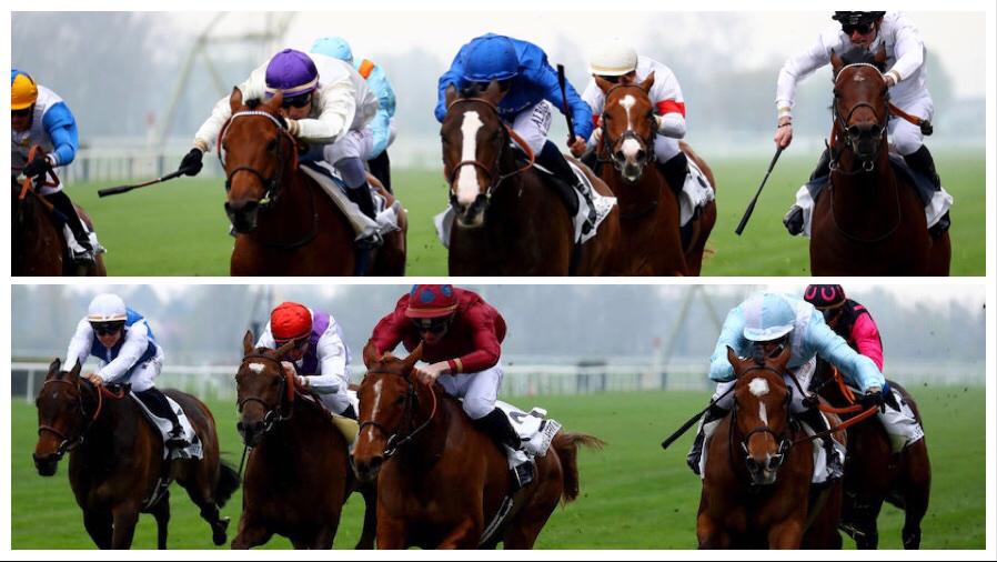 Un an déjà : Watch Me et Munitions passent leur test à Maisons-Laffitte Un an déjà : Watch Me et Munitions passent leur test à Maisons-Laffitte