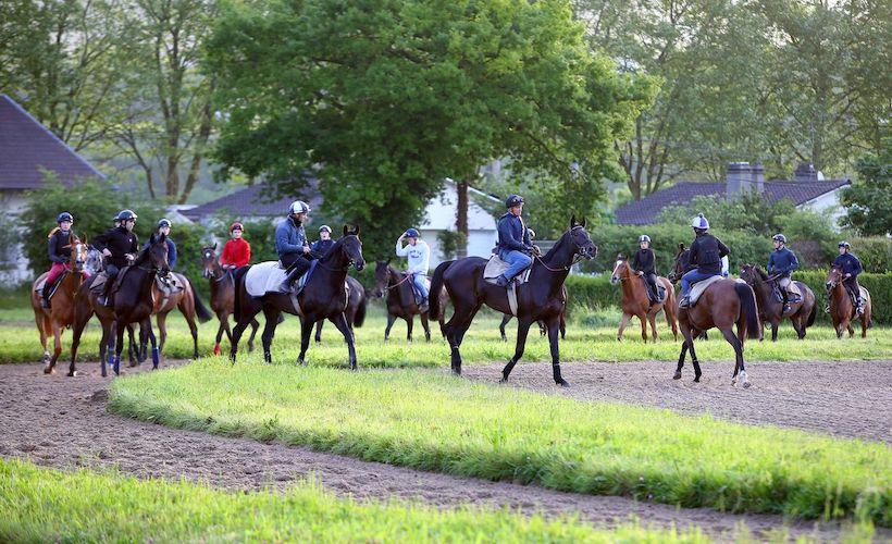 Répondez au questionnaire de la filière Cheval pour soutenir notre dossier devant les pouvoirs publics Répondez au questionnaire de la filière Cheval pour soutenir notre dossier devant les pouvoirs publics