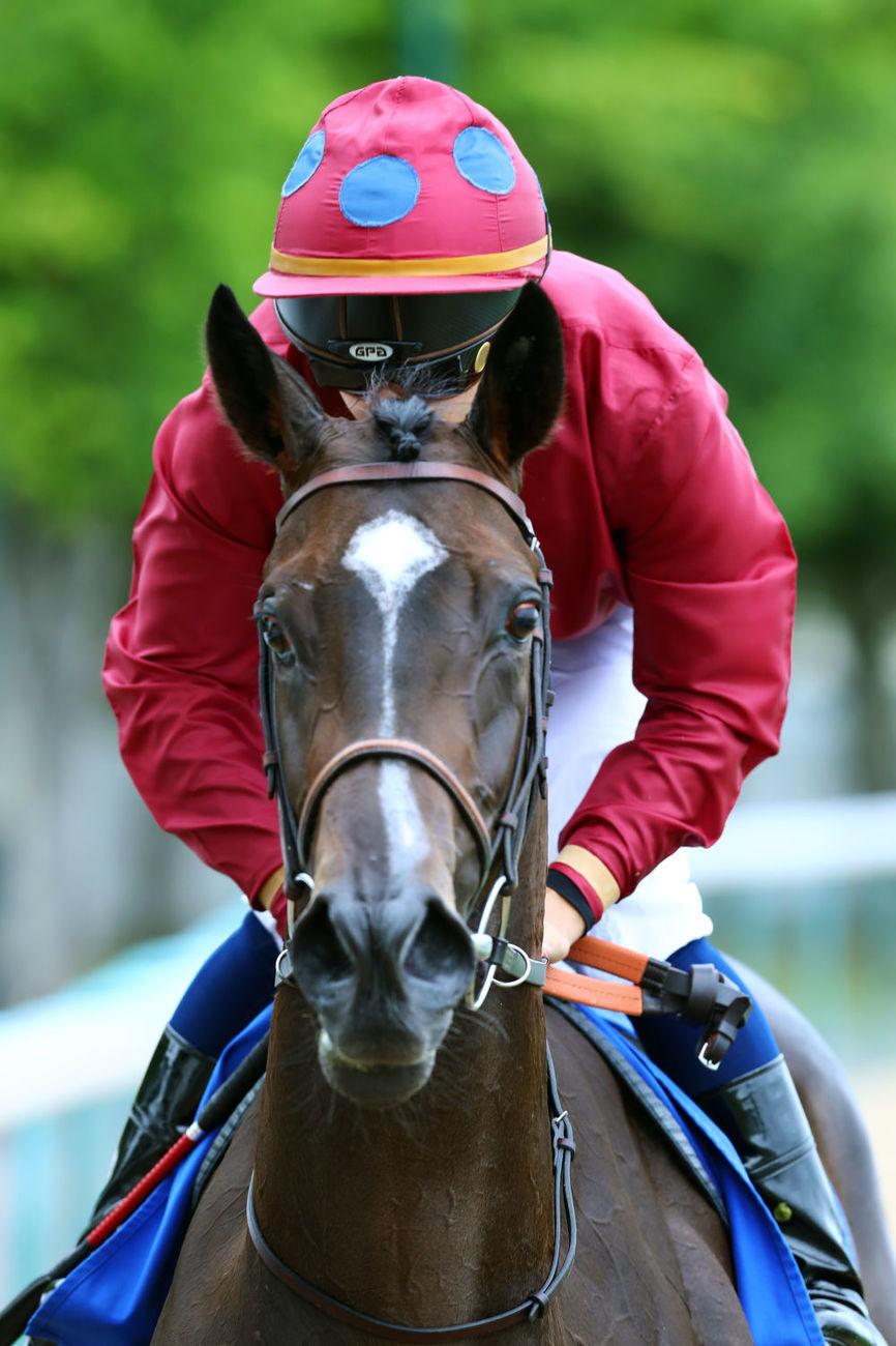 Grotte : Tropbeau part du bon pied