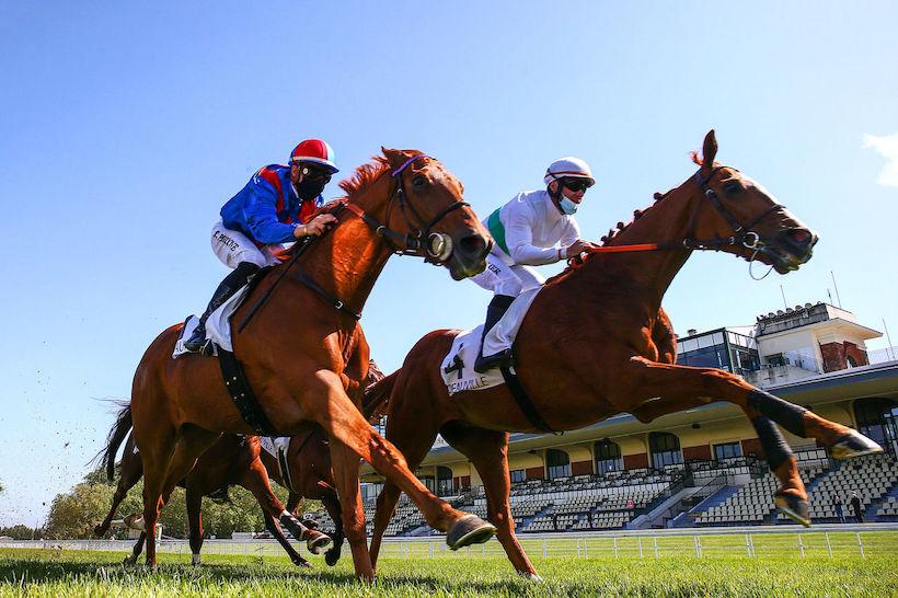 Barbeville : Call the Wind dans son jardin Barbeville : Call the Wind dans son jardin