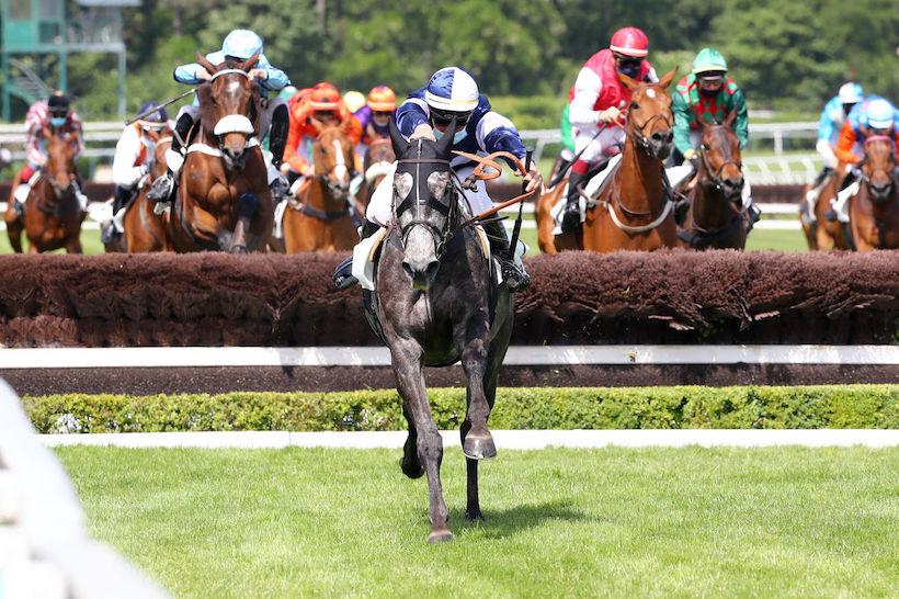 Historique de la Grande Course de Haies de Printemps : Le Président des hurdlers