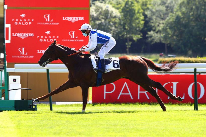 La Force: Pao Alto reaches new heights