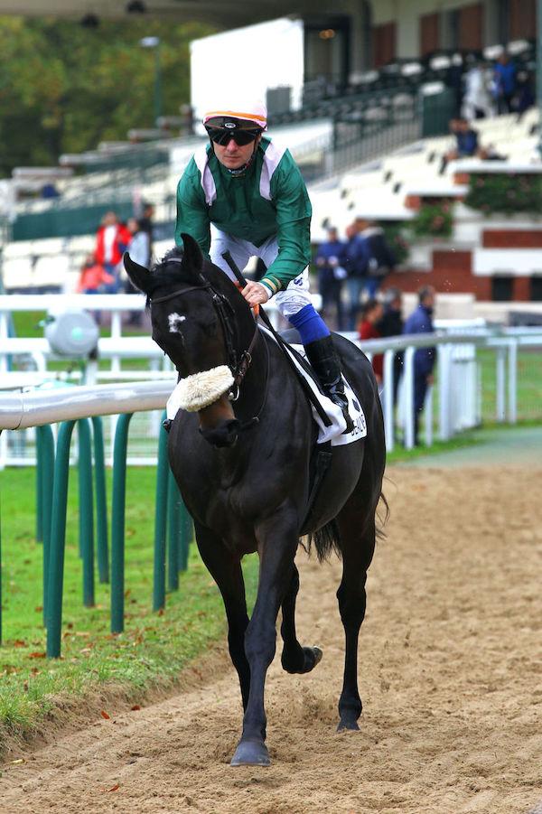 Greffulhe: Classic crossroad Greffulhe: Classic crossroad