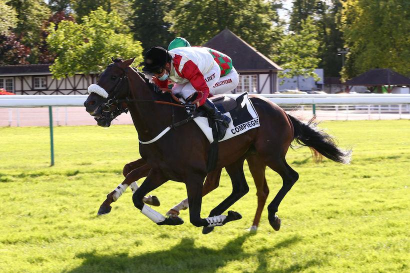 Alain du Breil 4yo Hurdle: For Fun is getting serious