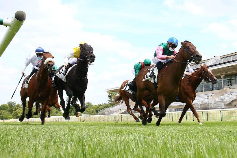 Guiche : Chachnak règne enfin