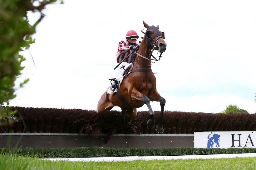 Héros XII Chase history: An Auteuil icon