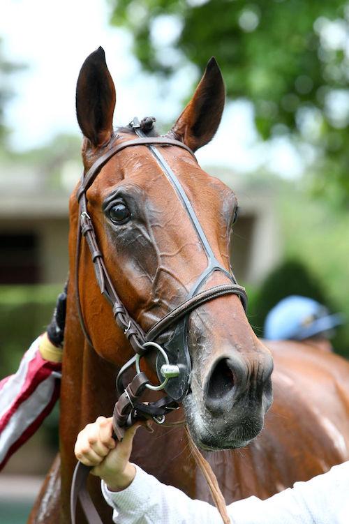 Aguado : Magneto confirme à Auteuil