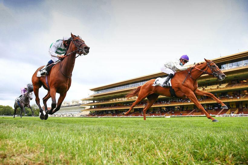 Malleret Report: Vaucelles has found her game