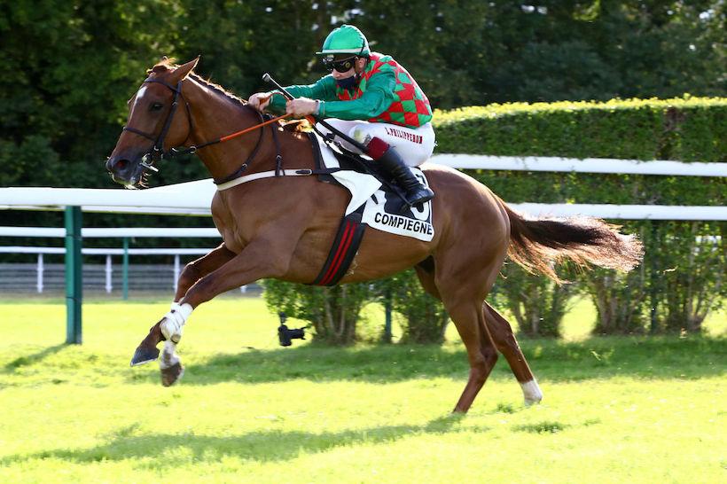 Prix Questarabad: James du Berlais face à de nouveaux adversaires