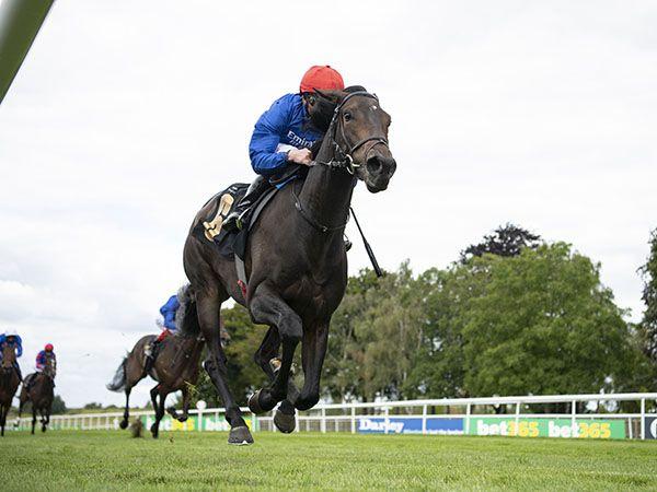 Prix Six Perfections Sky Sports Racing : Il faudra suivre le rythme de Wedding Dance